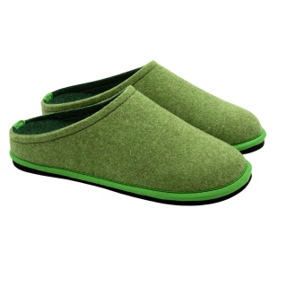 Lion White House Slippers Felt Slippers Easy Bicolor Green
